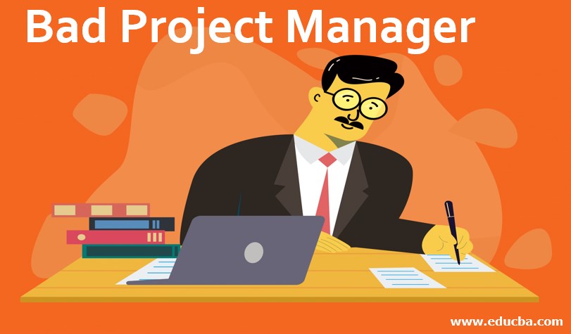 Bad Project Manager