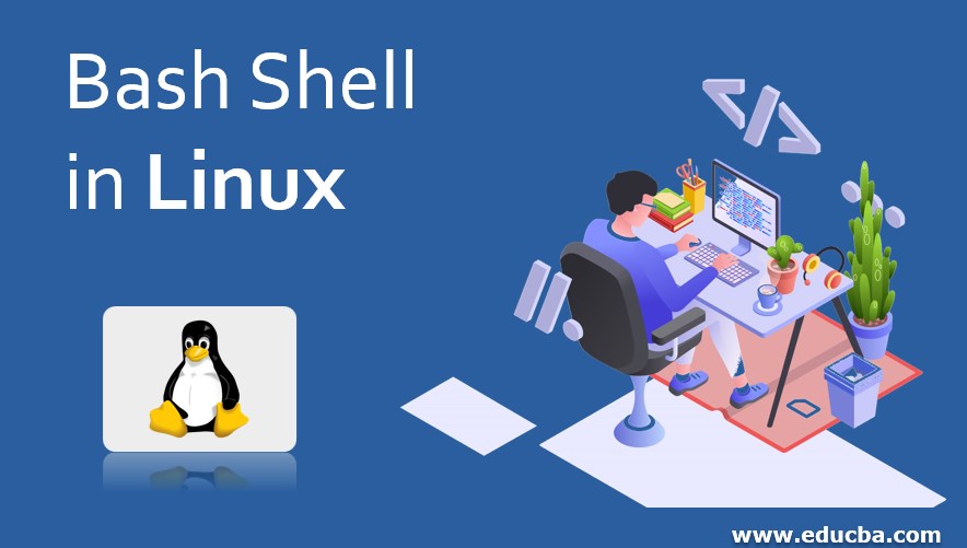 Bash Shell in Linux