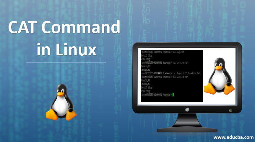 CAT-COMMAND-IN-LINUX
