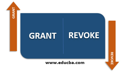 Data Control Language Commands with Example