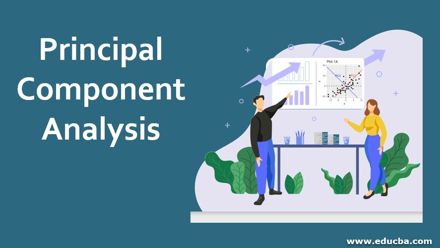 Principal Component Analysis
