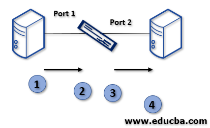 Key Differences 2