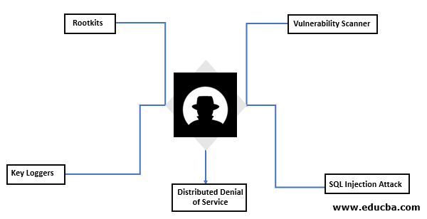 What do Black Hat Hackers do