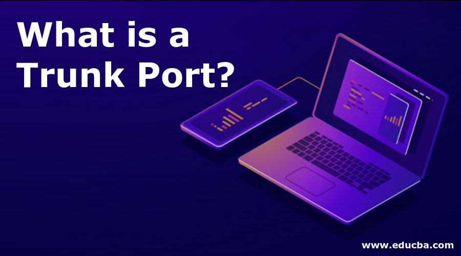 What is a Trunk-Port