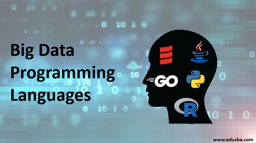 big data programming languages