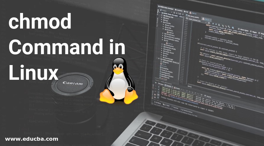 chmod command in linux