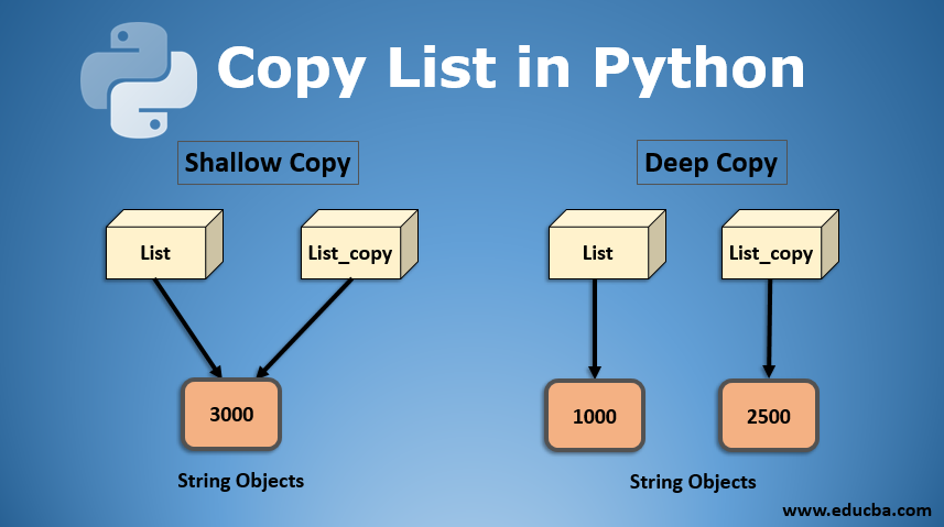 python difference between copy and assignment