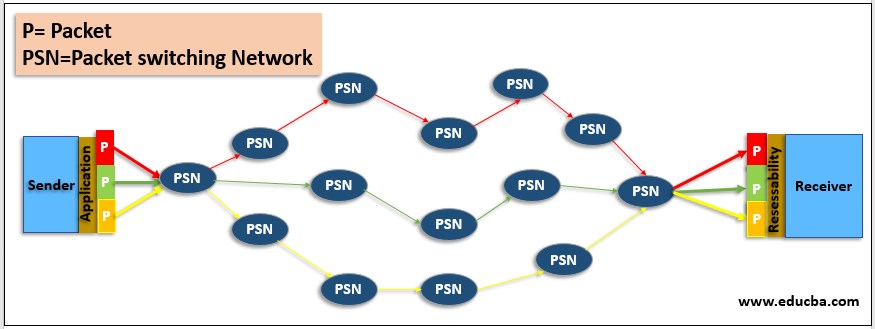packet switch network