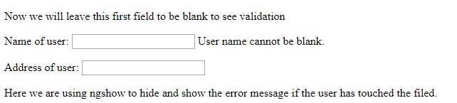 AngularJS Validation 1-1