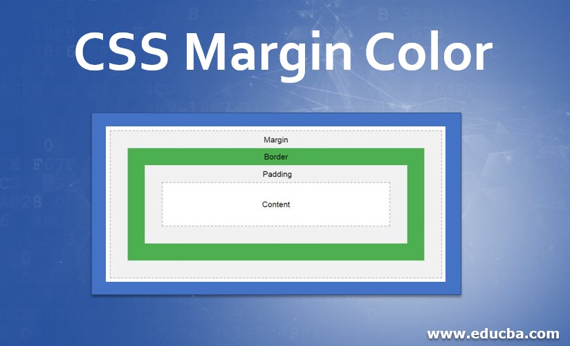CSS Margin Color