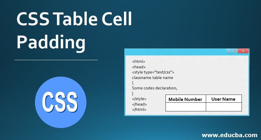 CSS Table Cell Padding