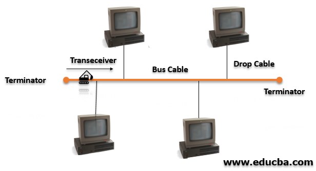 Components of Bus network