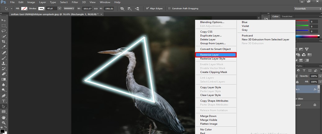 Rasterize Layer option