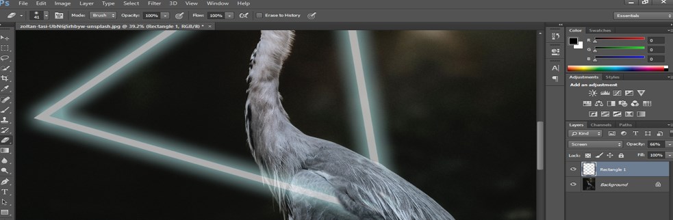 erase the unwanted section