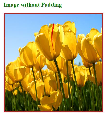 HTML Image Padding OP 1