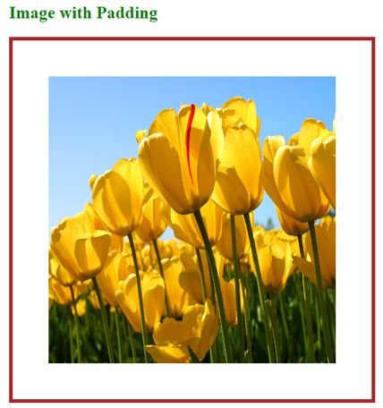 HTML Image Padding OP 2