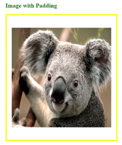 HTML Image Padding OP 4JPG