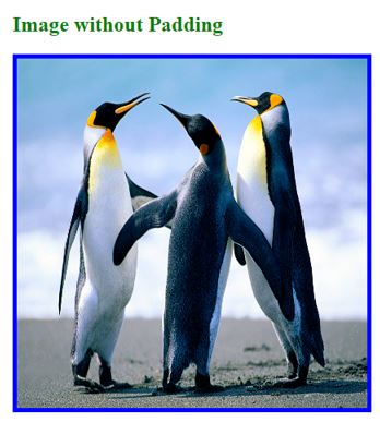 single padding value