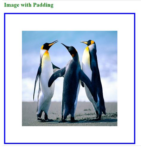 single padding value