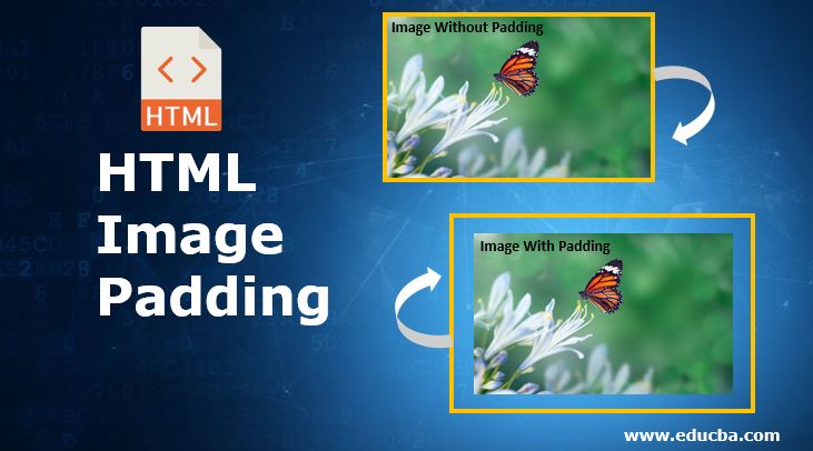 HTML Image Padding