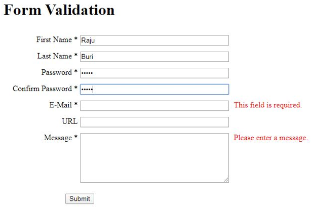 JQuery Form Validation output 6