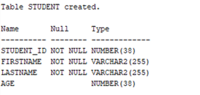 Oracle Constraints Example 1