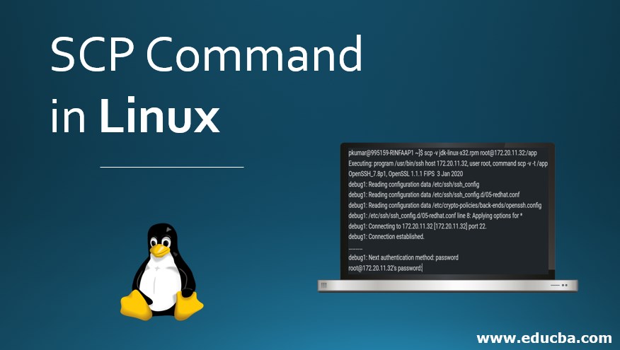 SCP Command in Linux