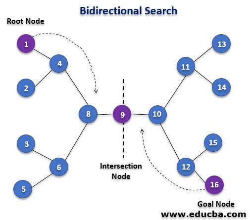  Bidirectional Search Algorithm