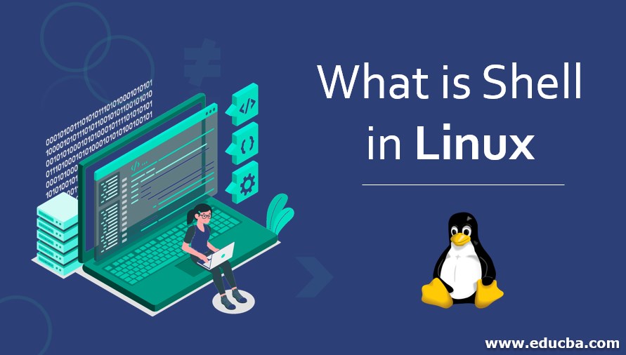 What is Shell in Linux