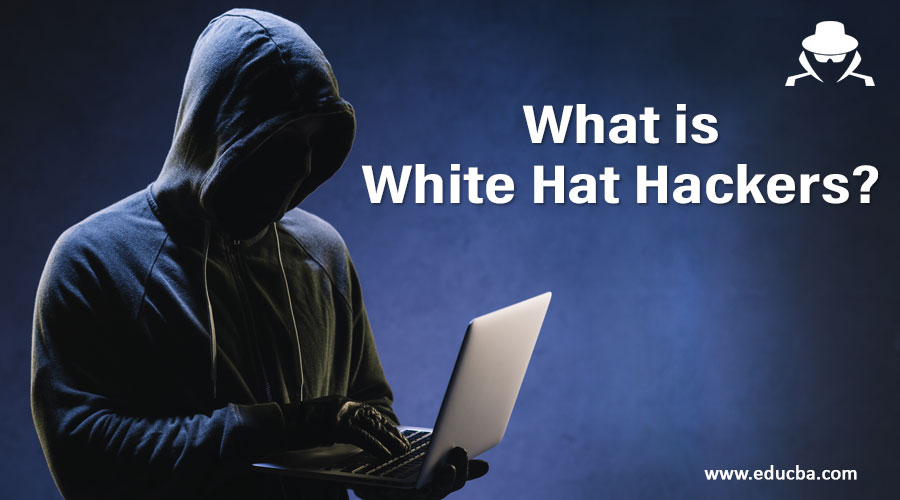 What-is-White-Hat-Hackers