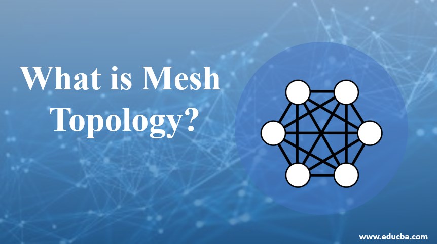What is mesh topology