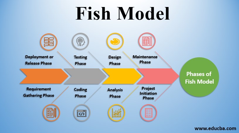 fish model 