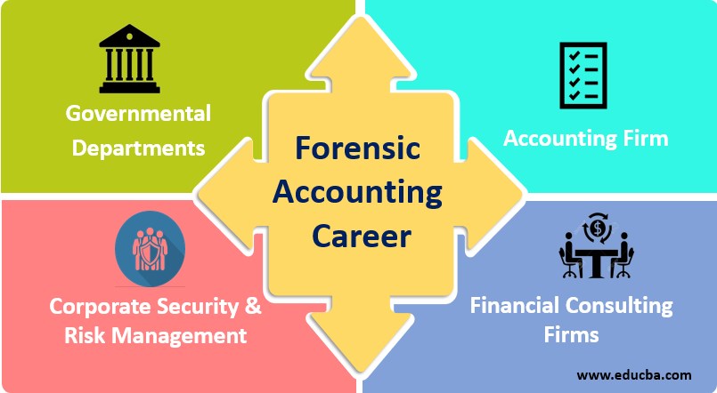forensic accounting career