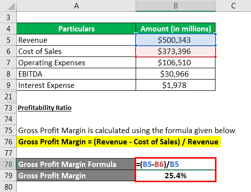 Gross Profit Margin