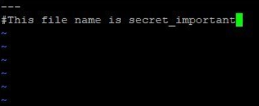 Ansible Vault output 10