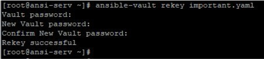 Ansible Vault output 11