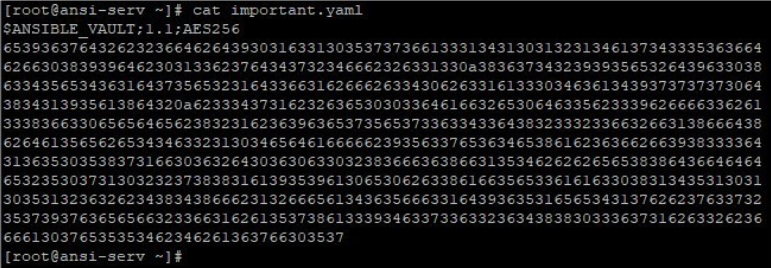Ansible Vault output 3