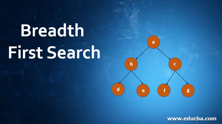Breadth First Search