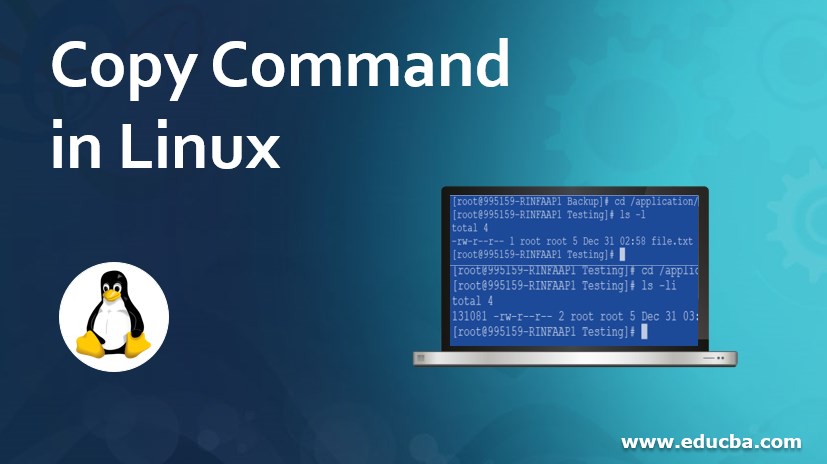 Copy Command in Linux