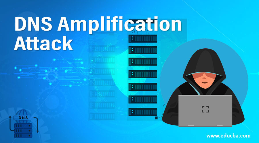 DNS-Amplification-Attack