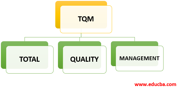 Full Form of TQM-1.1
