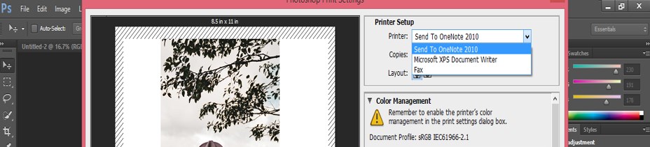 How to Print in Photoshop - 13