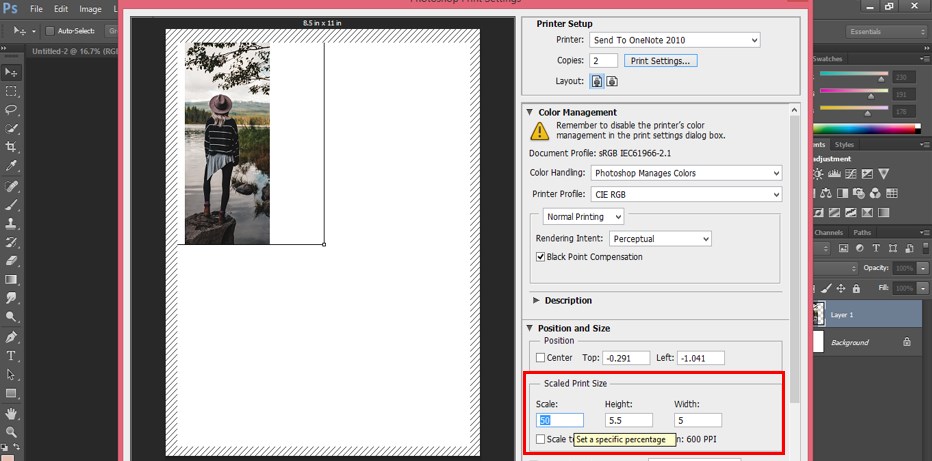 Value of Scale option