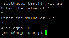If Else in Shell Scripting Example 1