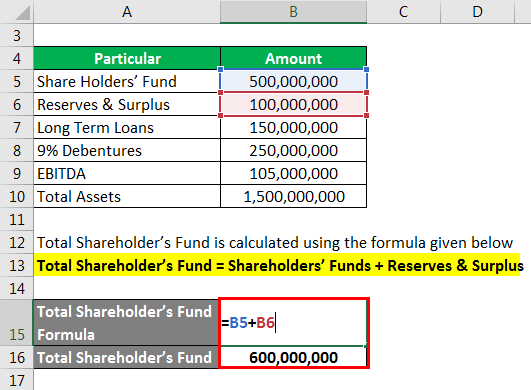 Total Shareholder’s Fund