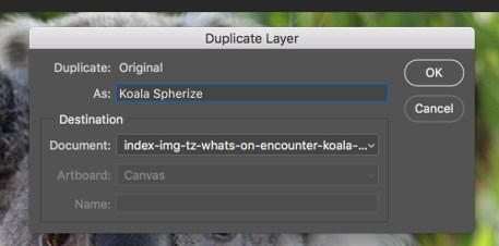 Duplicating the layer