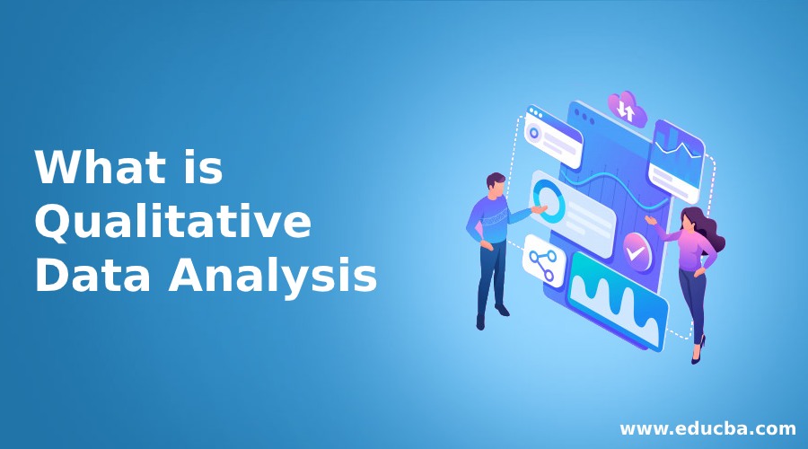 What is Qualitative Data Analysis