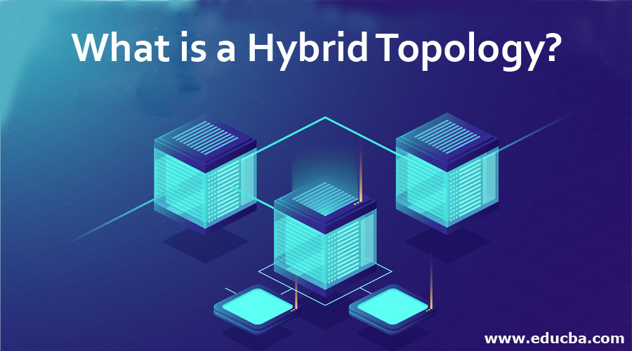 What is a Hybrid Topology?