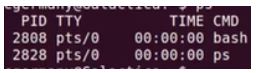 ps command in linux 1