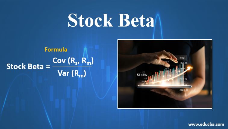 stock beta